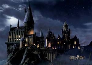 Poster Harry Potter Hogwarts 601251 Naturfaser - Textil - 110 x 155 x 155 cm