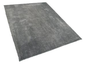 Tapis à poil long EVREN Gris - Gris lumineux - 160 x 160 x 230 cm