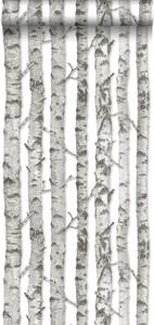 papier peint troncs de bouleau 7214 Gris - Fibres naturelles - Textile - 53 x 1005 x 1005 cm