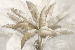 Papier peint Feuilles tropicales 520 x 318 x 318 cm