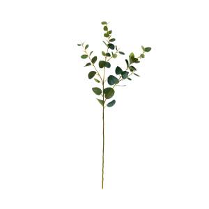 FLORISTA Eukalyptuszweig Länge 70cm Grün - Kunststoff - 20 x 3 x 70 cm