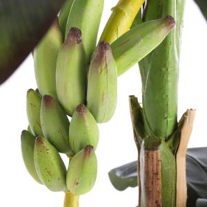 Künstliche Pflanze Bananenboom 115 x 180 x 115 cm