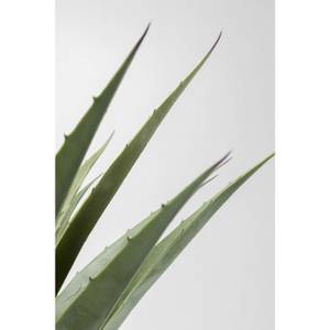 Plante décorative agave 20 x 85 x 20 cm