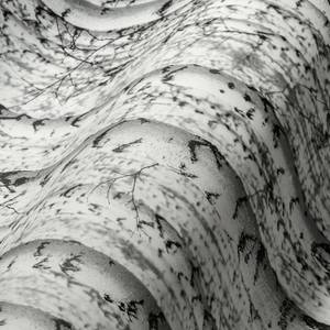 Birkenwald Tapete Schwarz Weiß Schwarz - Grau - Weiß - Kunststoff - Textil - 53 x 1005 x 1 cm