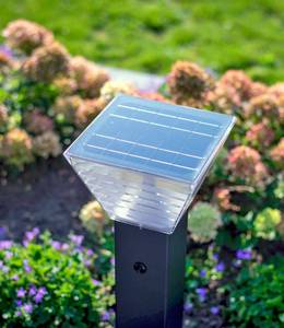 Solar Wegeleuchte LED Berlin Höhe: 40 cm