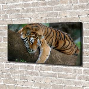 Wandbild Tiger auf Baum Braun - Textil - Holz teilmassiv - 140 x 70 x 4 cm