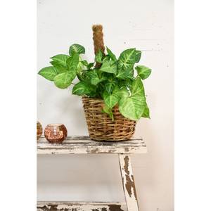 Passender Übertopf aus Rattan (3er-Pack) Rattan - 43 x 25 x 43 cm