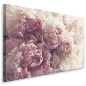 Leinwandbild Blumen Pfingstrosen Natur 90 x 60 x 60 cm