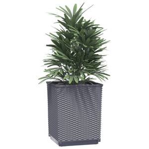 Jardinière 3028747-2 (lot de 4) Gris - Matière plastique - 30 x 37 x 30 cm