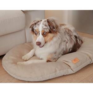 Coussin pour chiens 3007366 Beige