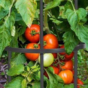 Tuteur à tomates en lot de 2 Noir - Métal - Matière plastique - 20 x 120 x 20 cm