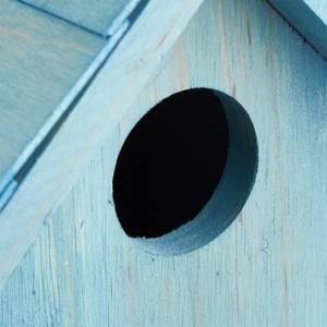 Nichoir à oiseaux en bois petite maison Bleu clair