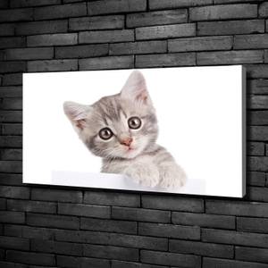 Wandbild Graue Katze Grau - Textil - Holz teilmassiv - 100 x 50 x 4 cm