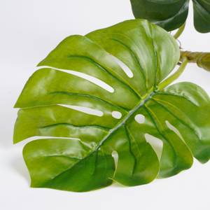 Kunstpflanze Monstera-Steckling Grün - Kunststoff - 21 x 12 x 54 cm