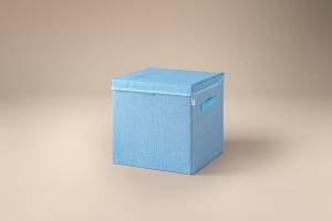 Lifeney Aufbewahrungsbox mit Deckel Blau Kunststoff - 34 x 4 x 34 cm