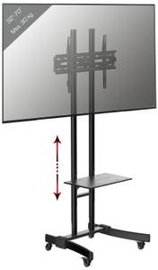 TV-Rack B-MS Höhe: 190 cm