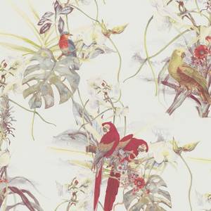 Vogel Tapete Papagei Rot Weiß Grün Grün - Rot - Weiß - Kunststoff - Textil - 53 x 1005 x 1 cm