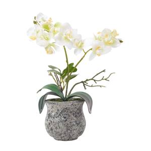 Künstliche weiß-grüne Phalaenopsis Weiß - Kunststoff - 19 x 32 x 32 cm