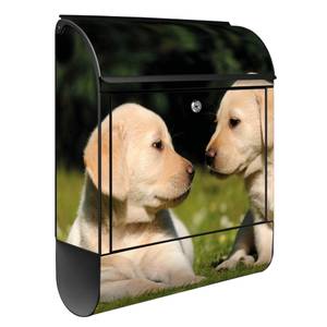 Briefkasten Stahl Labrador Schwarz - Metall - 38 x 46 x 13 cm