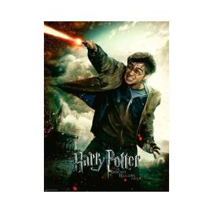 Puzzle Harry Potter 100 Teile XXL Papier - 23 x 4 x 34 cm