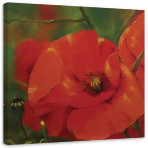 Wandbild Rote Mohnblumen Natur Pflanzen 30 x 30 cm