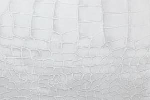 Tableau peint à la main White Snake Blanc - Bois massif - Textile - 100 x 75 x 4 cm