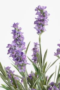 Plante artificielle Lavendel Mauve - Pierre - Textile - 20 x 33 x 20 cm