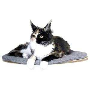 Lits pour chats 415634 Gris - Bois massif - 35 x 2 x 50 cm