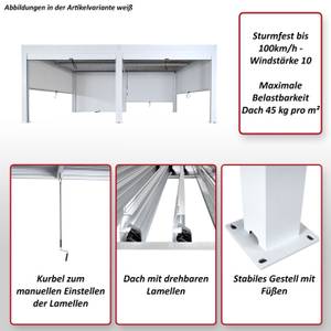 Pergola L46 mit Seitenwand Weiß