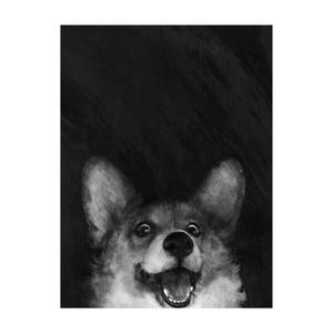 Illustration Hund Corgi Schwarz Weiß 75 x 100 cm