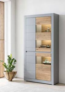 Vitrine CASABLANCA Grau - Holzwerkstoff - 100 x 198 x 35 cm