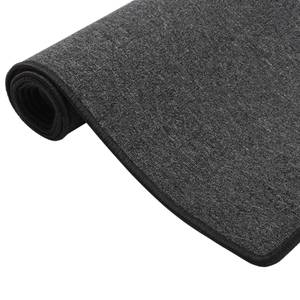 Tapis de couloir 3011174-1 250 x 80 cm