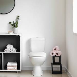 Lunette toilette online reducteur