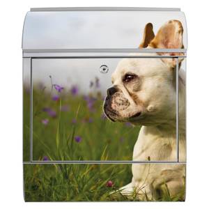 Briefkasten Stahl Französische Bulldogge Grau - Metall - 38 x 46 x 13 cm