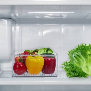 Kühlschrank Organizer mit Griff Kunststoff - 21 x 10 x 37 cm