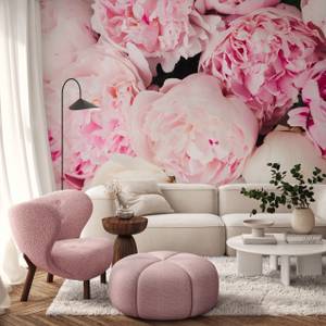 Papier Peint PIVOINES Fleurs Nature 3D 450 x 300 x 300 cm