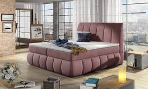 Boxspringbett RAVICO Rosé - Breite: 160 cm