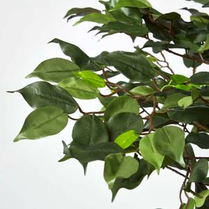 cm Kunstbaum | grün Benjamini Ficus 180 home24 kaufen