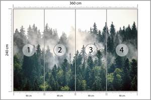 Fototapete WALD IM NEBEL Bäume Natur 3D 360 x 240 x 240 cm