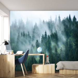 Fototapete Nebel Wald 366 x 254 cm Grün - Papier - 366 x 254 x 366 cm