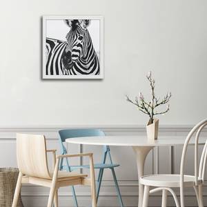 Bilderrahmen Poster Schnauze des Zebras Weiß