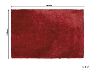 Teppich EVREN Rot - 300 x 200 x 200 cm