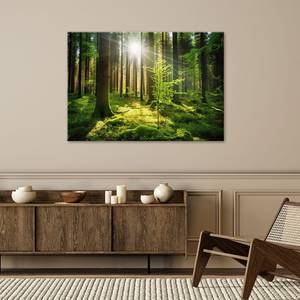 KUNSTDRUCK Green Forest Sunlight 1 120 x 80 cm