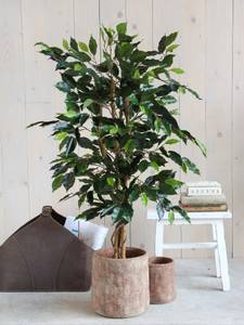 Kunstpflanze Ficus 65 x 110 x 65 cm