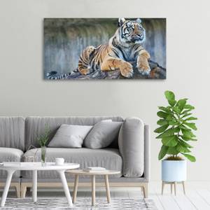 Wandbild Tiger Braun - Textil - Holz teilmassiv - 100 x 50 x 4 cm