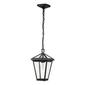 Hinkley Lampe suspendue extérieure Noir - Verre - 21 x 36 x 21 cm