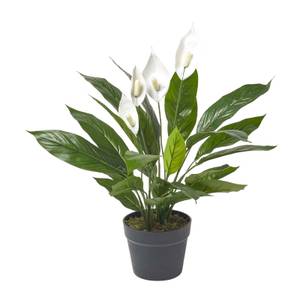 Kunstpflanze Spathiphyllum Wallisii 16 x 60 x 60 cm