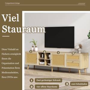 TV-Lowboard Coeus Ⅳ Braun - Holzwerkstoff - Metall - Polyrattan - 40 x 55 x 180 cm