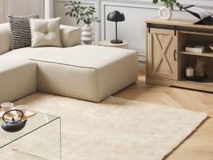 Tapis à poil long DEMRE Beige - Crème - 230 x 160 x 160 cm