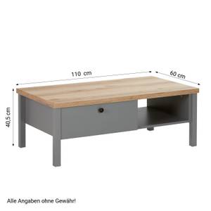 Couchtisch 2492 Grau - Holzwerkstoff - 110 x 40 x 60 cm